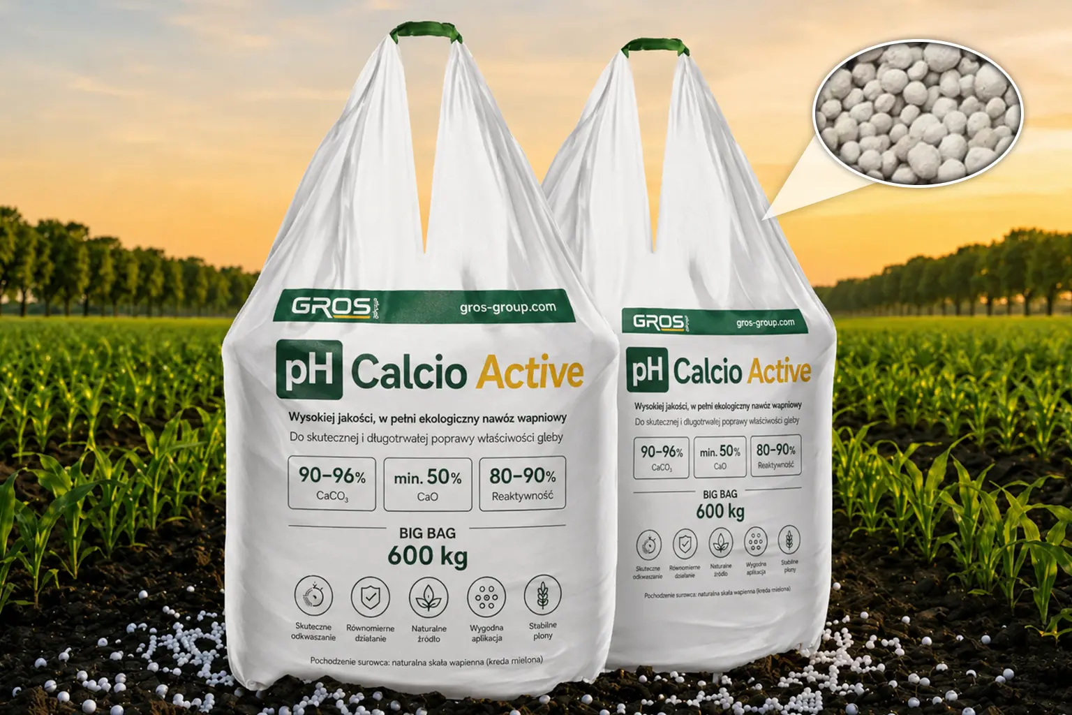 pH Calcio Active