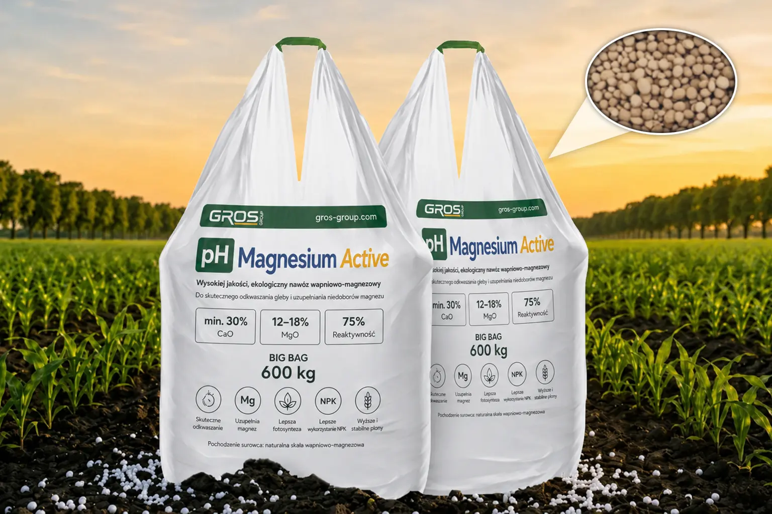 pH Magnesium Active