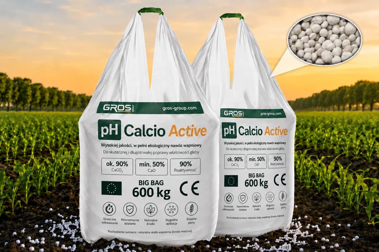 pH Calcio Active